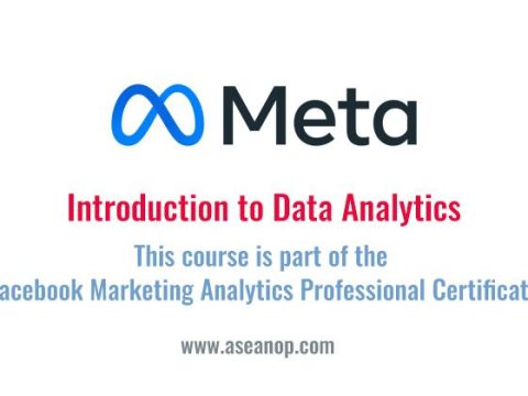 How does Meta use data science?