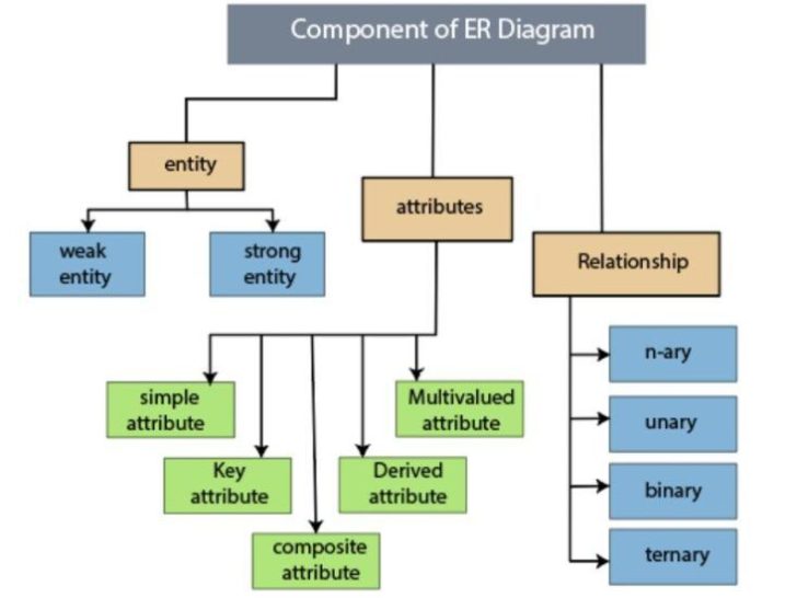 What are the 3 main components of entity relationship diagram