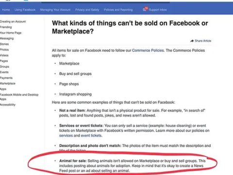 Does Facebook Marketplace allow animal sales?