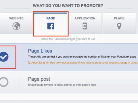 What is the objective of the page Likes campaign?