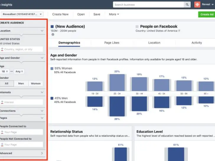 How do I use Facebook audience Insights tool?