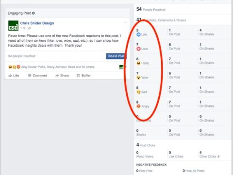 What does it mean when Facebook says someone can see the total number of reactions?