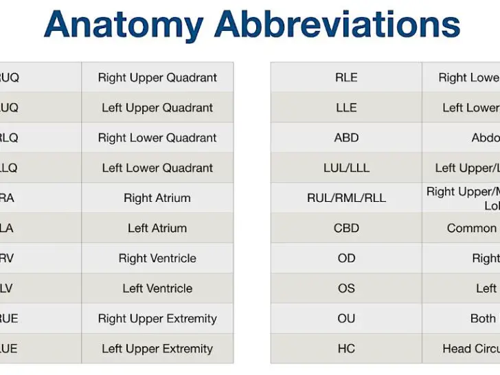 What does FB mean in medical terms?