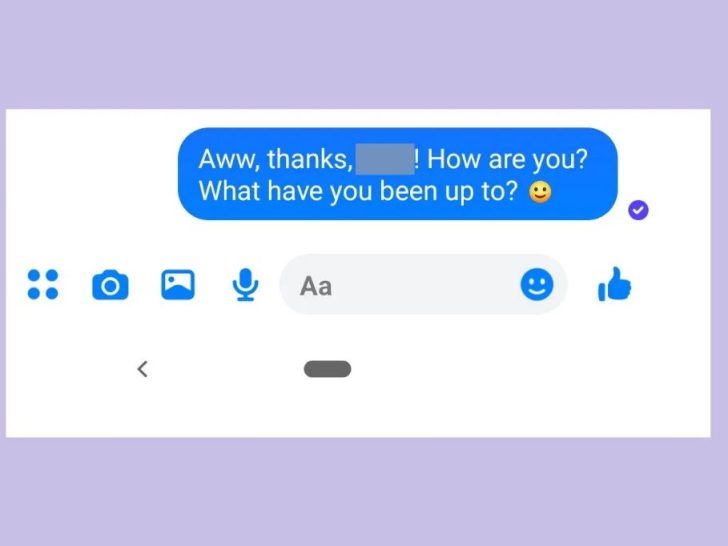 What does a white circle and tick mean on Messenger?