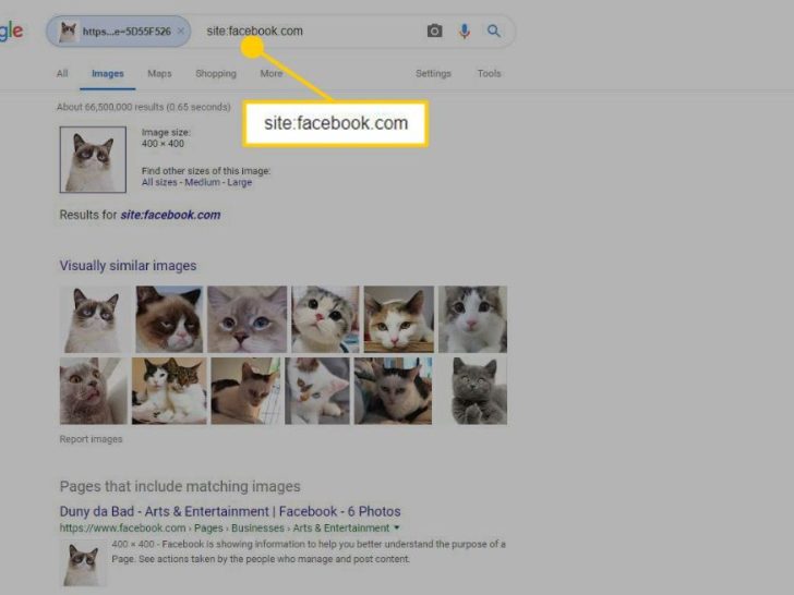 Can you search Facebook by picture?