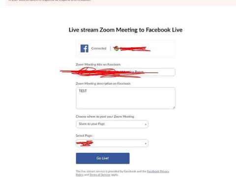 What is the Zoom issue with Facebook?