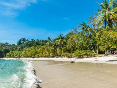 Where do most expat Americans live in Costa Rica?