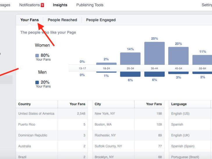 Can you get demographic data from Facebook?