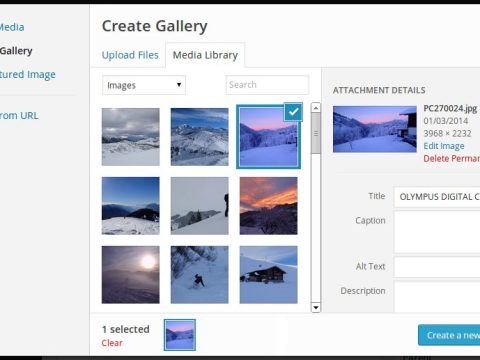 How to create a photo album gallery in WordPress with a plugin?