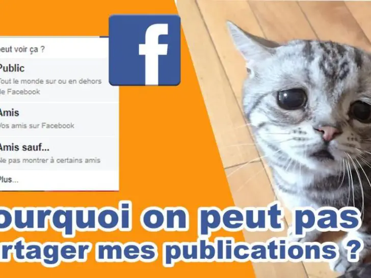 Pourquoi on ne sait pas partager sur Facebook ?