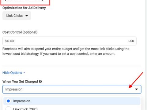 Why is Facebook ads charging me so much?