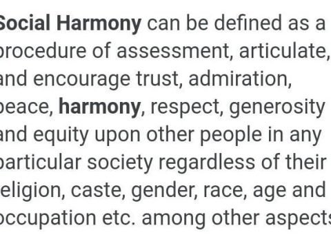 What is meant by social harmony?