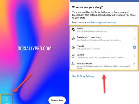 How do I remove custom privacy settings from Facebook stories?