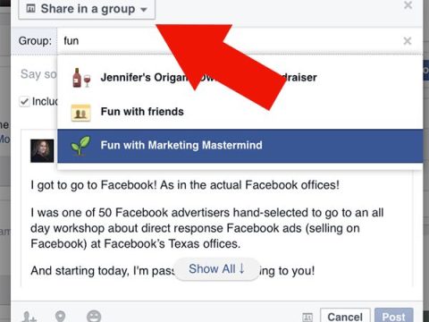 How do I share my Facebook business page with a group?