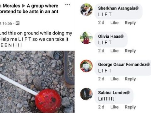 What is the Facebook group where we pretend to be ants?