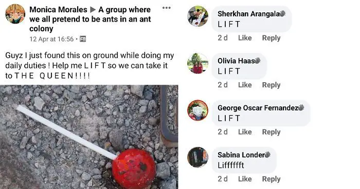 What is the Facebook group where we pretend to be ants