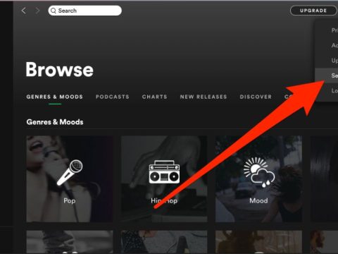 Is it possible to change Spotify username?