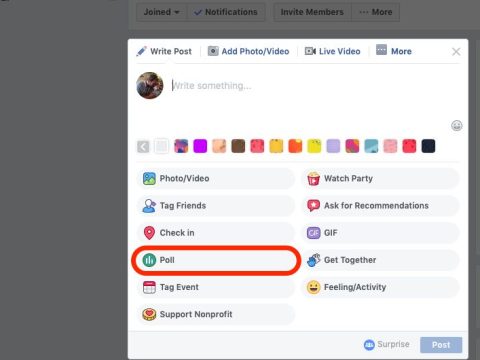 Can you do a poll on a Facebook group page?