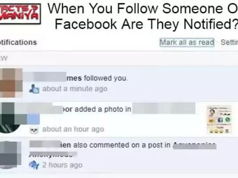 Does Facebook notify when you have a new follower?