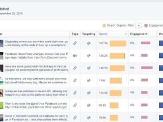 What is content insights on Facebook?